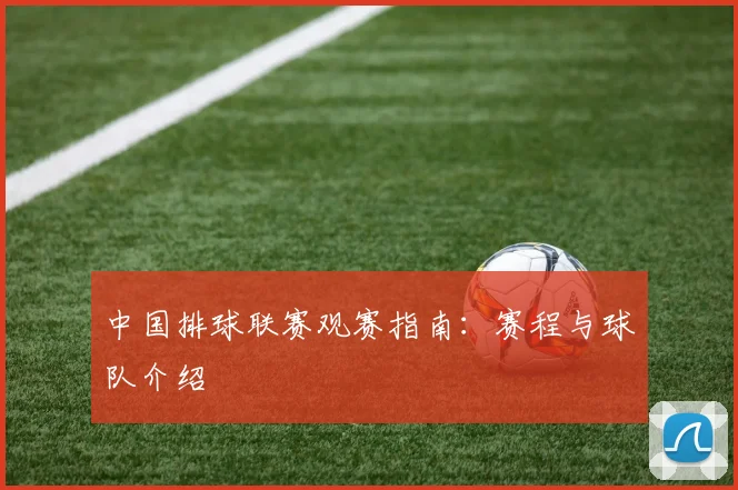 中国排球联赛观赛指南:赛程与球队介绍