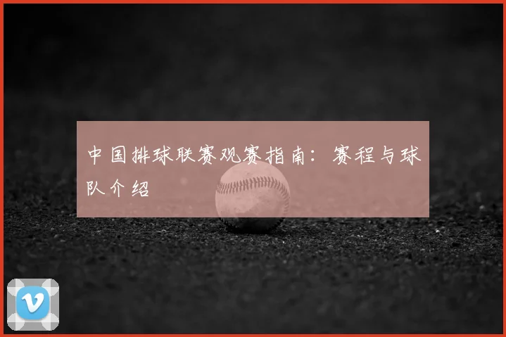 中国排球联赛观赛指南：赛程与球队介绍
