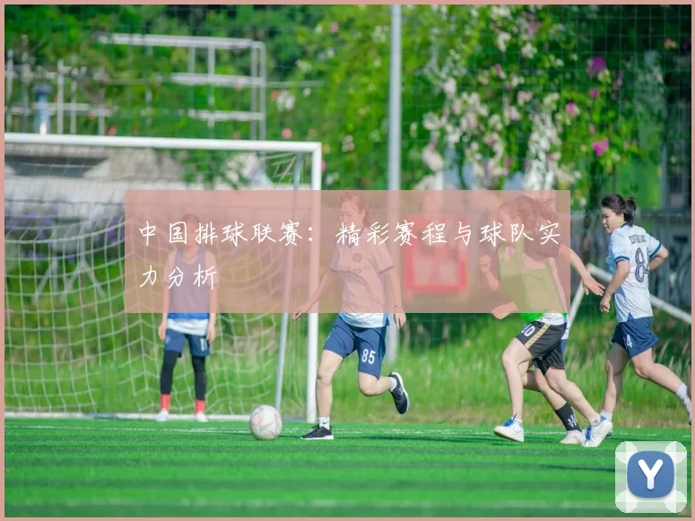 中国排球联赛：精彩赛程与球队实力分析
